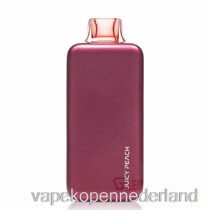 Elektronische Sigaret Vape Plena 18k Wegwerp Sappige Perzik